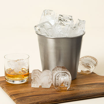 Show Your Spirit! College Ice Molds