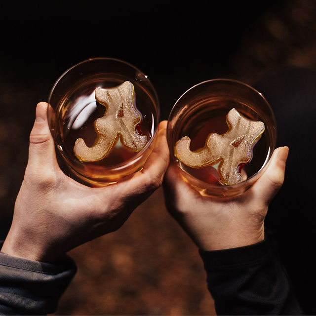 Show Your Spirit! College Ice Molds