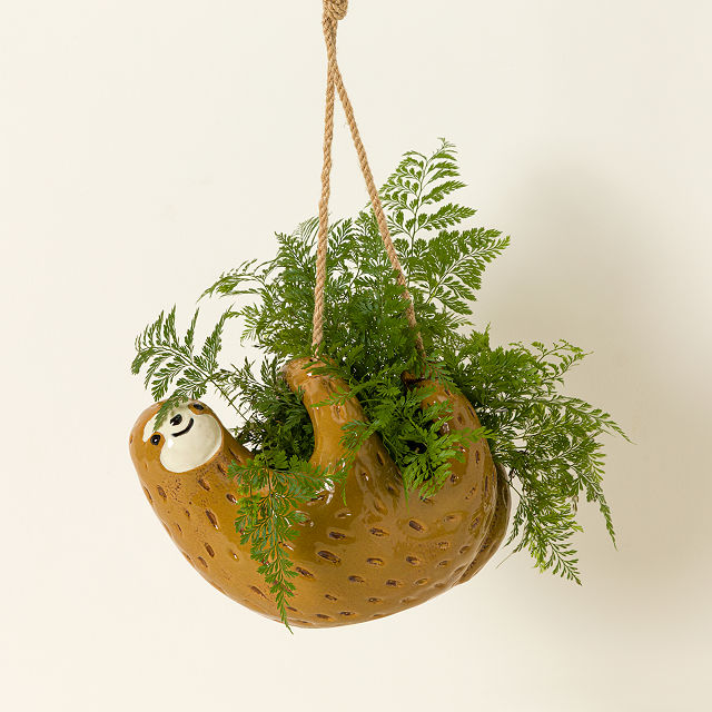 Serene Sloth Hanging Planter