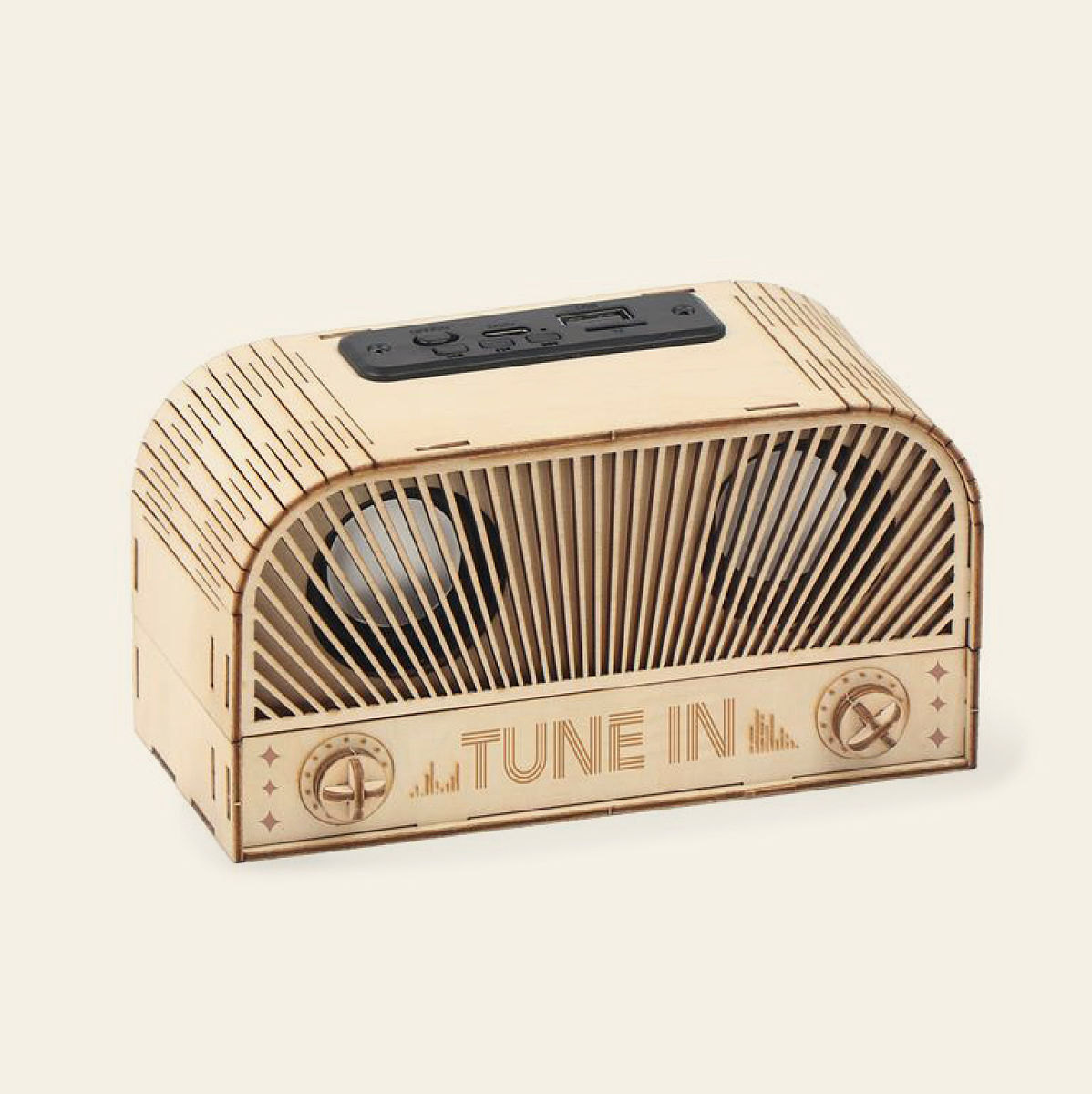 Build-Your-Own Retro Speaker