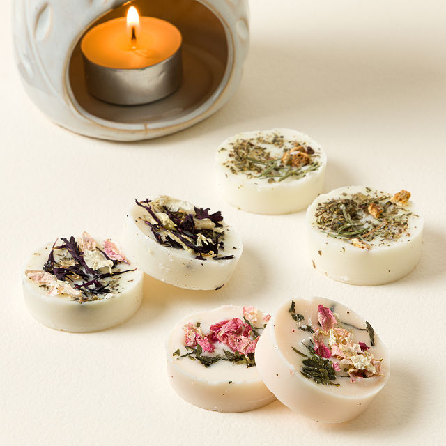 Botanical Wax Melt Gift Set