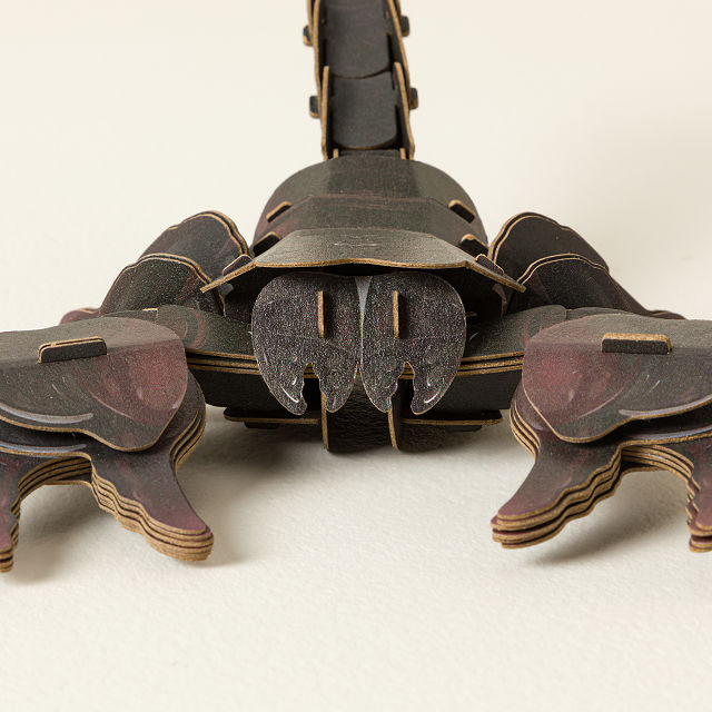 Jungle Creatures 3D DIY Build Kit