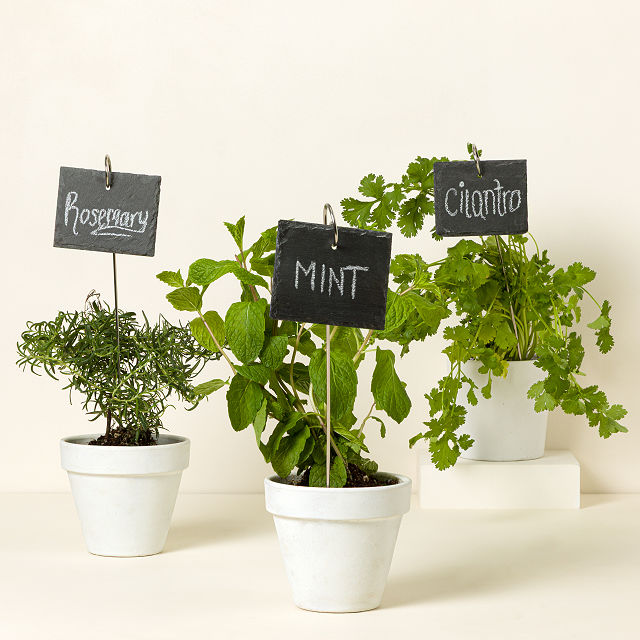 Reusable Slate Plant Labels - Set of 10