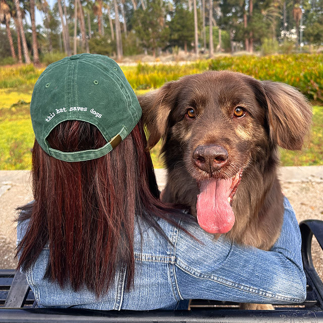 Tell Your Dog I Said Hi Hat