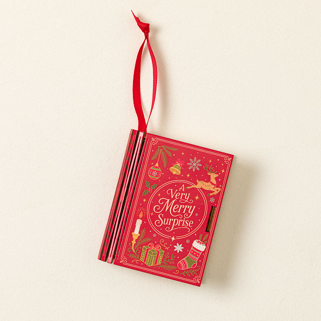 Secret Money Holder Book Ornament