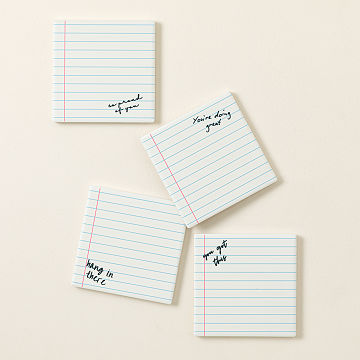 Emotional Support Coasters - Set of 4