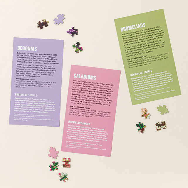 Plant Pattern Puzzle Challenge