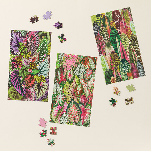 Plant Pattern Puzzle Challenge