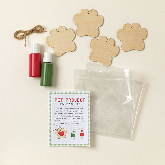 Pawcasso Ornament Painting Kit for Pets Set of 4