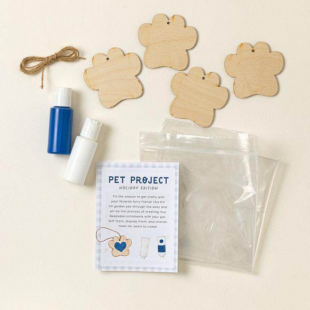 Pawcasso Ornament Painting Kit for Pets Set of 4