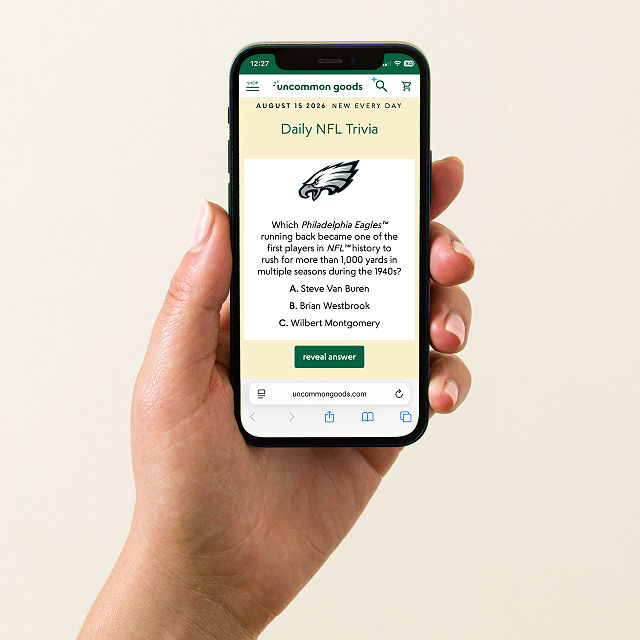 Your NFL Team Interactive QR Mug