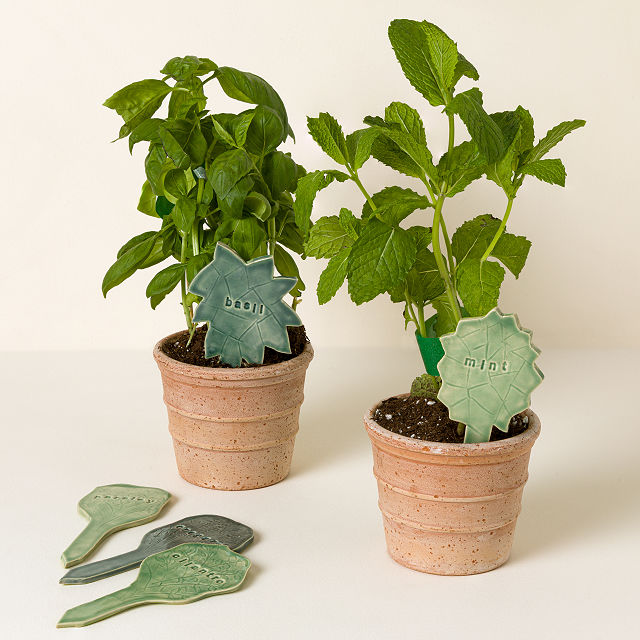 Ceramic Garden Label Stakes - Set of 5