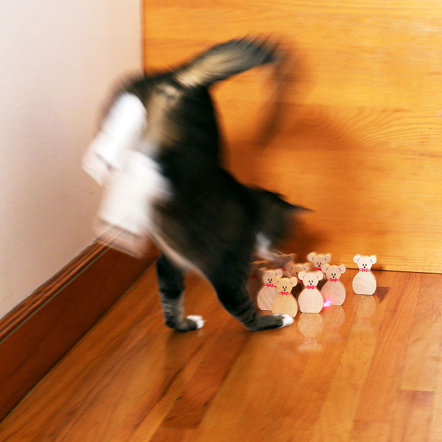 Cat Bowling