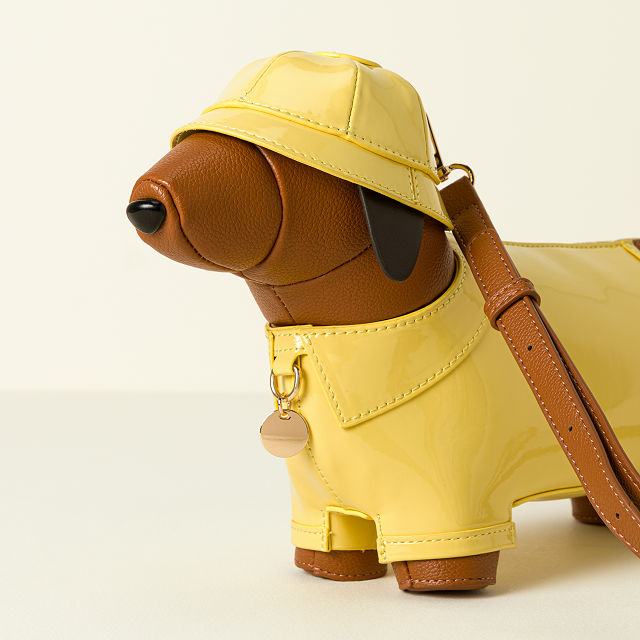 Rain Doxie Bag