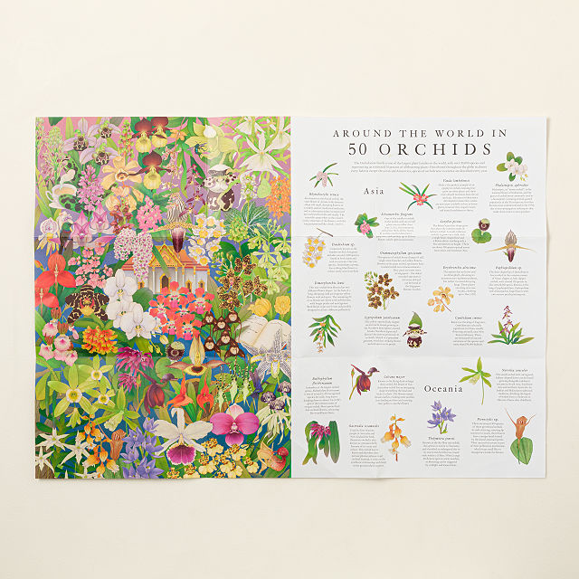 Around the World in 50 Orchids Puzzle