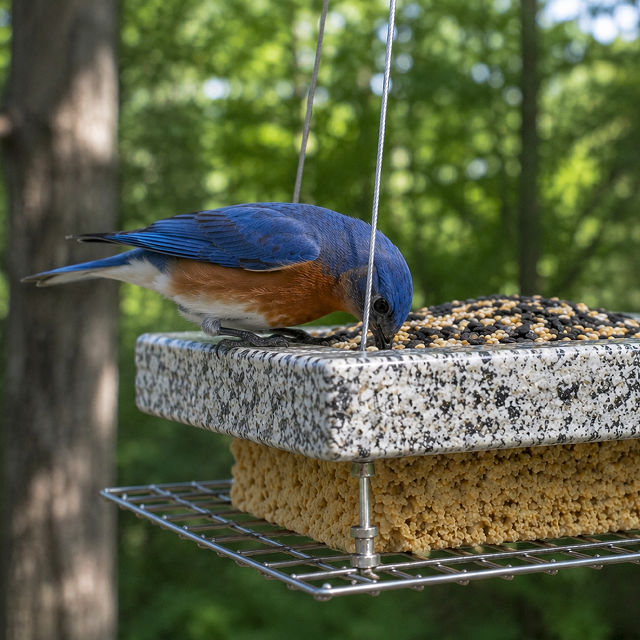 Stone Double Decker Bird Feeder