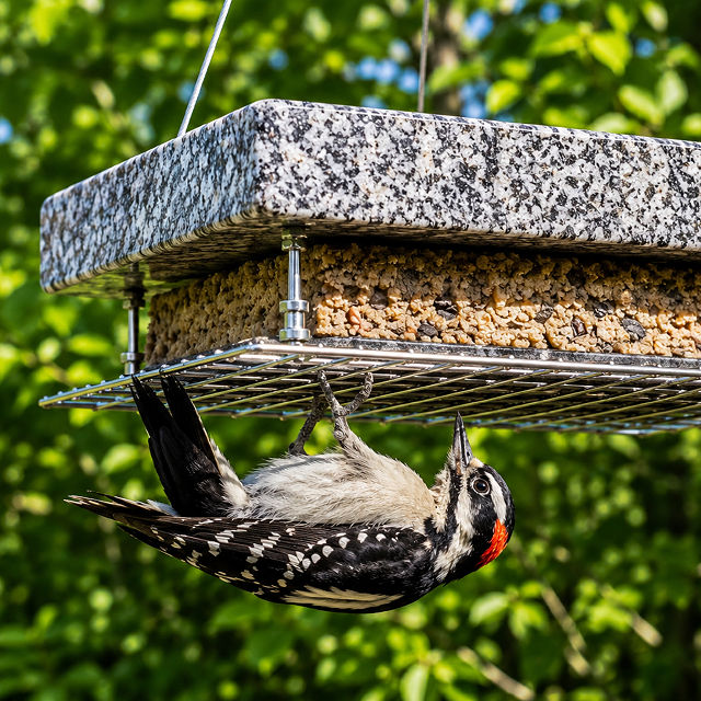 Stone Double Decker Bird Feeder