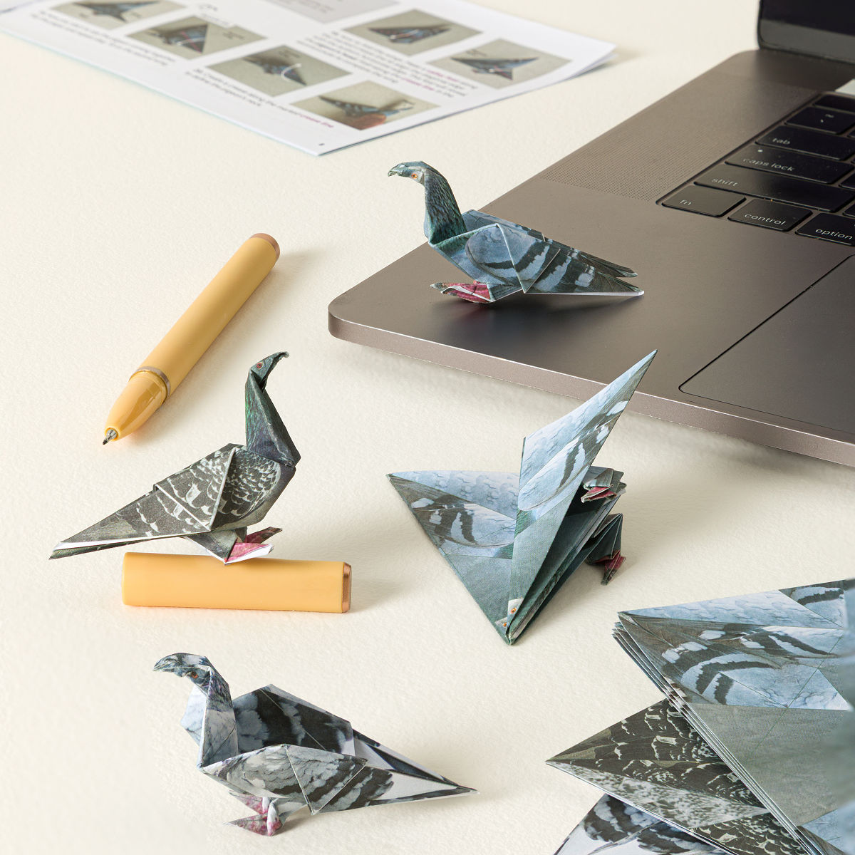 Paper Desk Pigeons