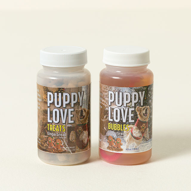 Gingerbread Puppy Bubbles & Treat Set
