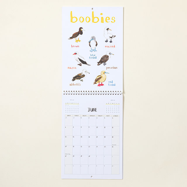 For the Pun of it Cheeky Wall Calendar