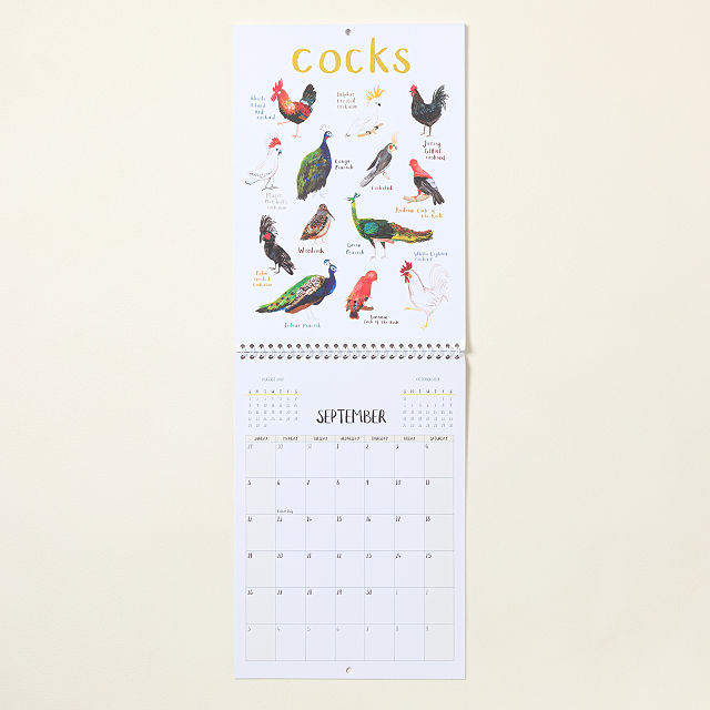 For the Pun of it Cheeky Wall Calendar