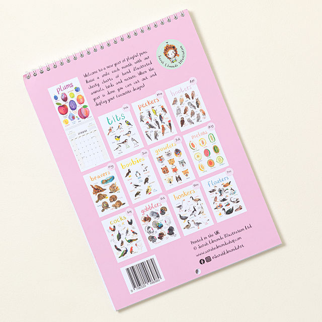 For the Pun of it Cheeky Wall Calendar