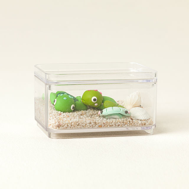 Create Your Own Tiny Turtle Terrarium