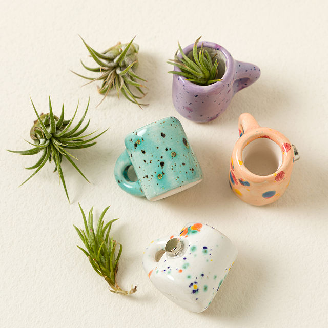 Mini Mug Air Plant Magnets - Set of 4