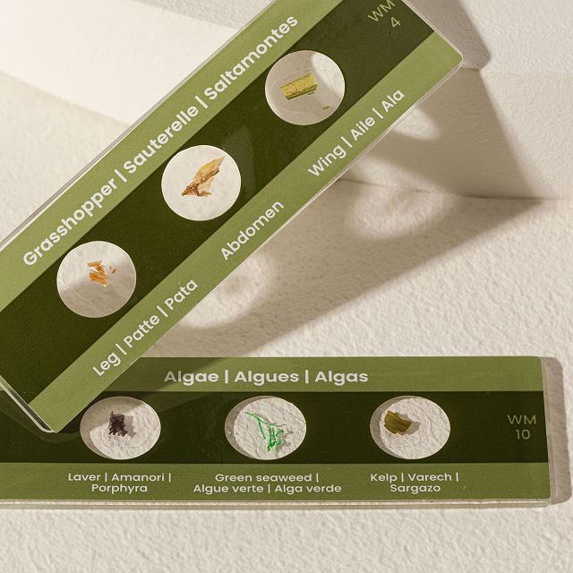 My First Microscope