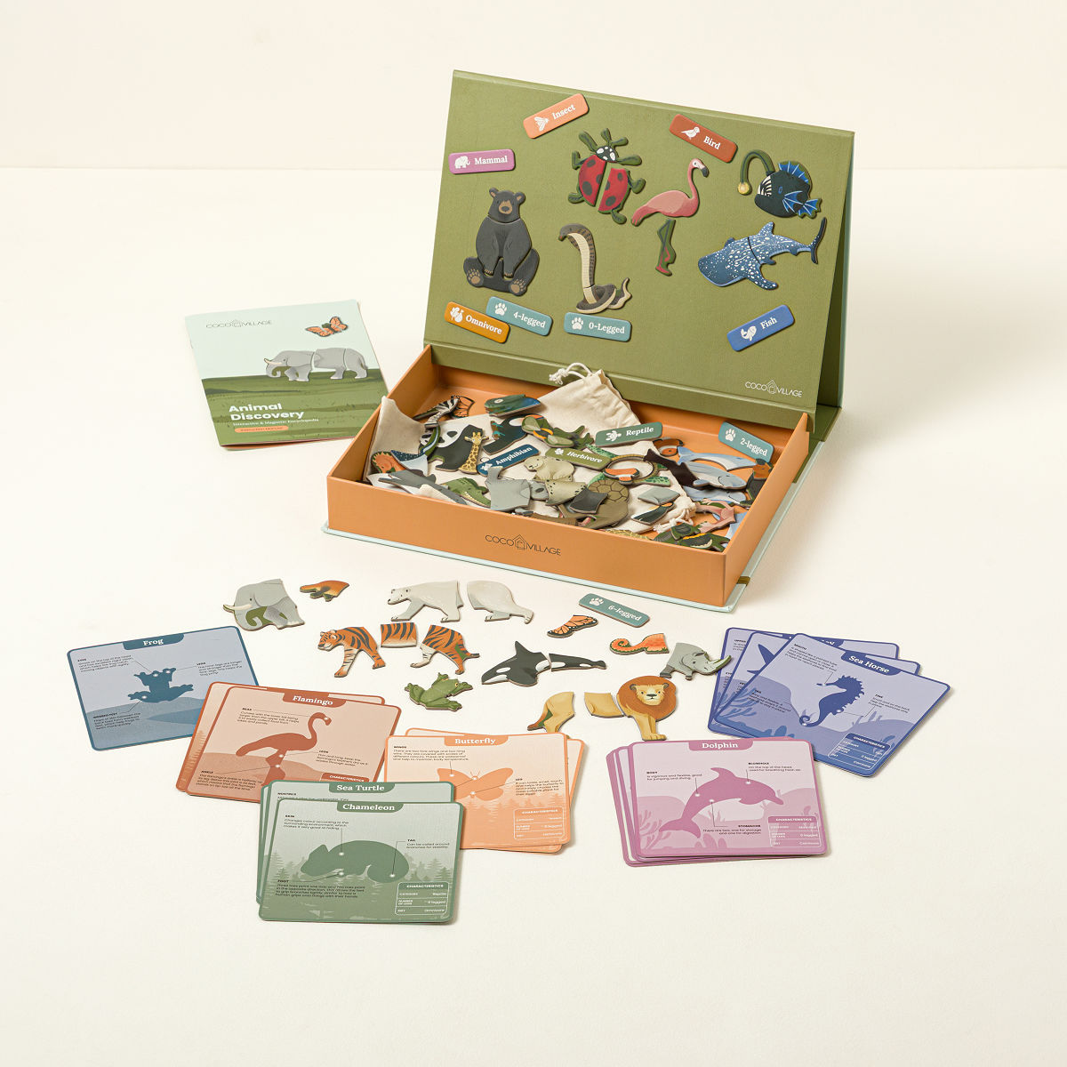 Interactive Magnetic Discovery Encyclopedias - Animal
