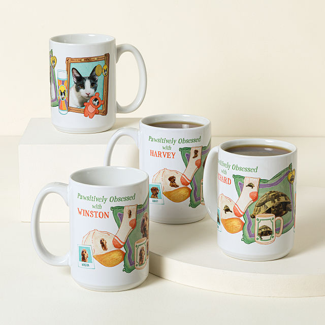 Pawsitively Obsessed with My Pet Mug