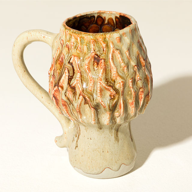 Morel Mushroom Mug