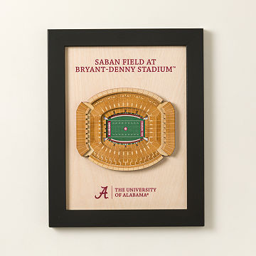 College Football Stadium Sculpture Wall Art