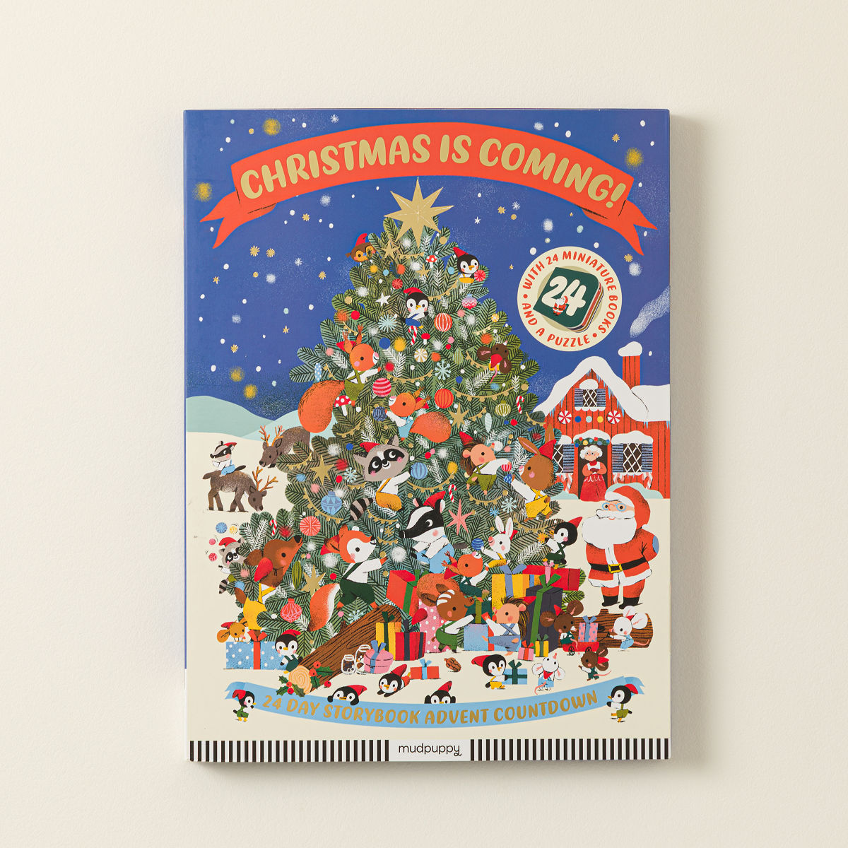 Teeny Tiny Board Book Advent Calendar