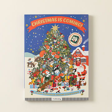 Teeny Tiny Board Book Advent Calendar
