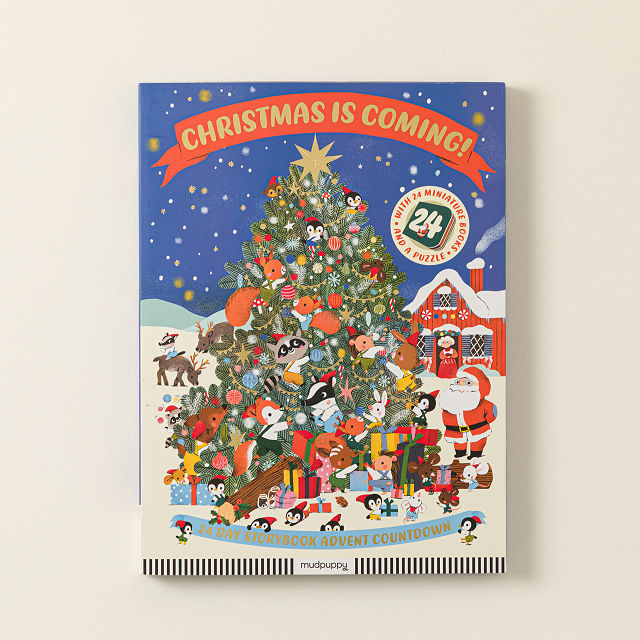 Teeny Tiny Board Book Advent Calendar