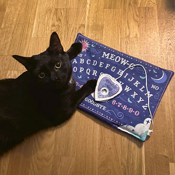 Meow-ji Board Catnip Kitty Playmat