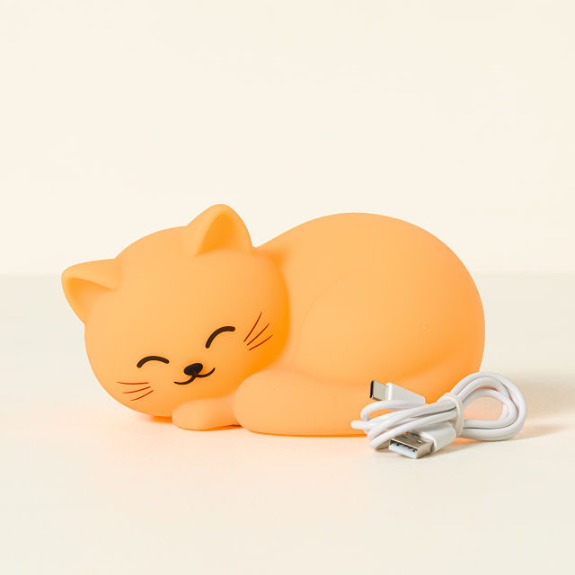 Sleepy Kitty Squishy Light