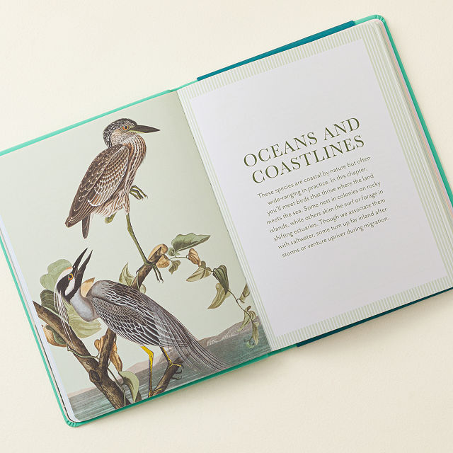 Bird Watching Bucket List Journal