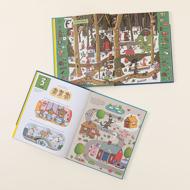 2-in-1 Alphabet & Numbers Seek & Find Book