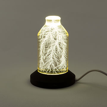 Lightning in a Bottle