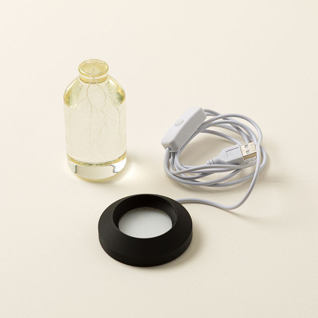 Lightning in a Bottle