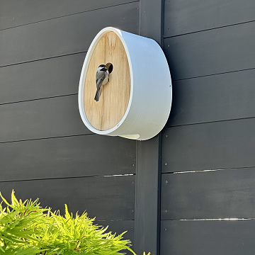 Nest Egg Video Birdhouse