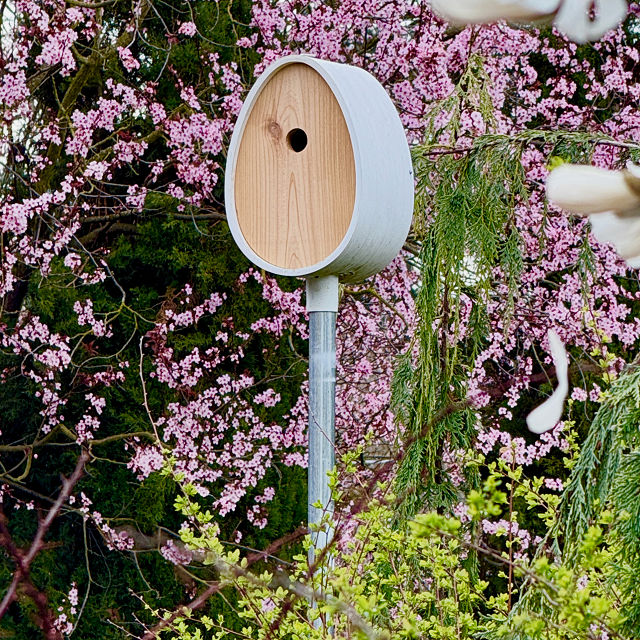 Nest Egg Video Birdhouse