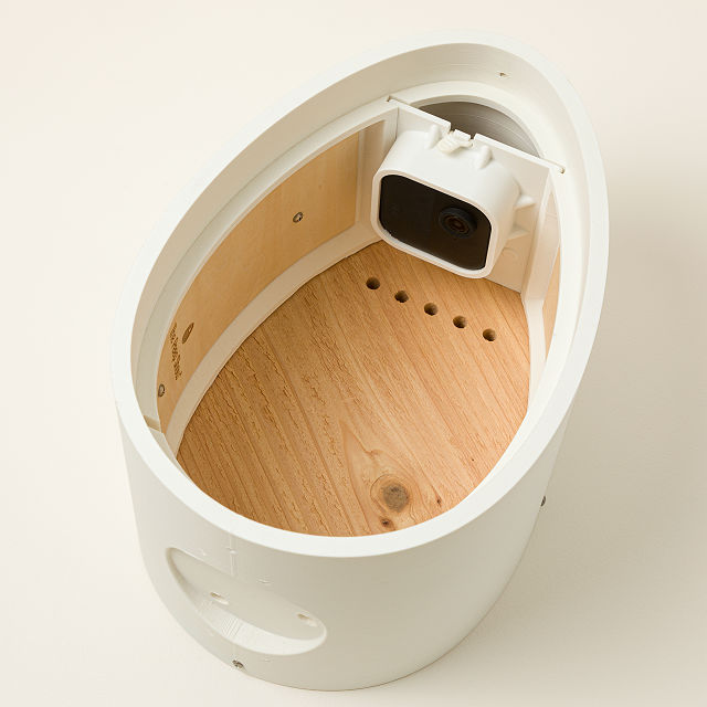 Nest Egg Video Birdhouse