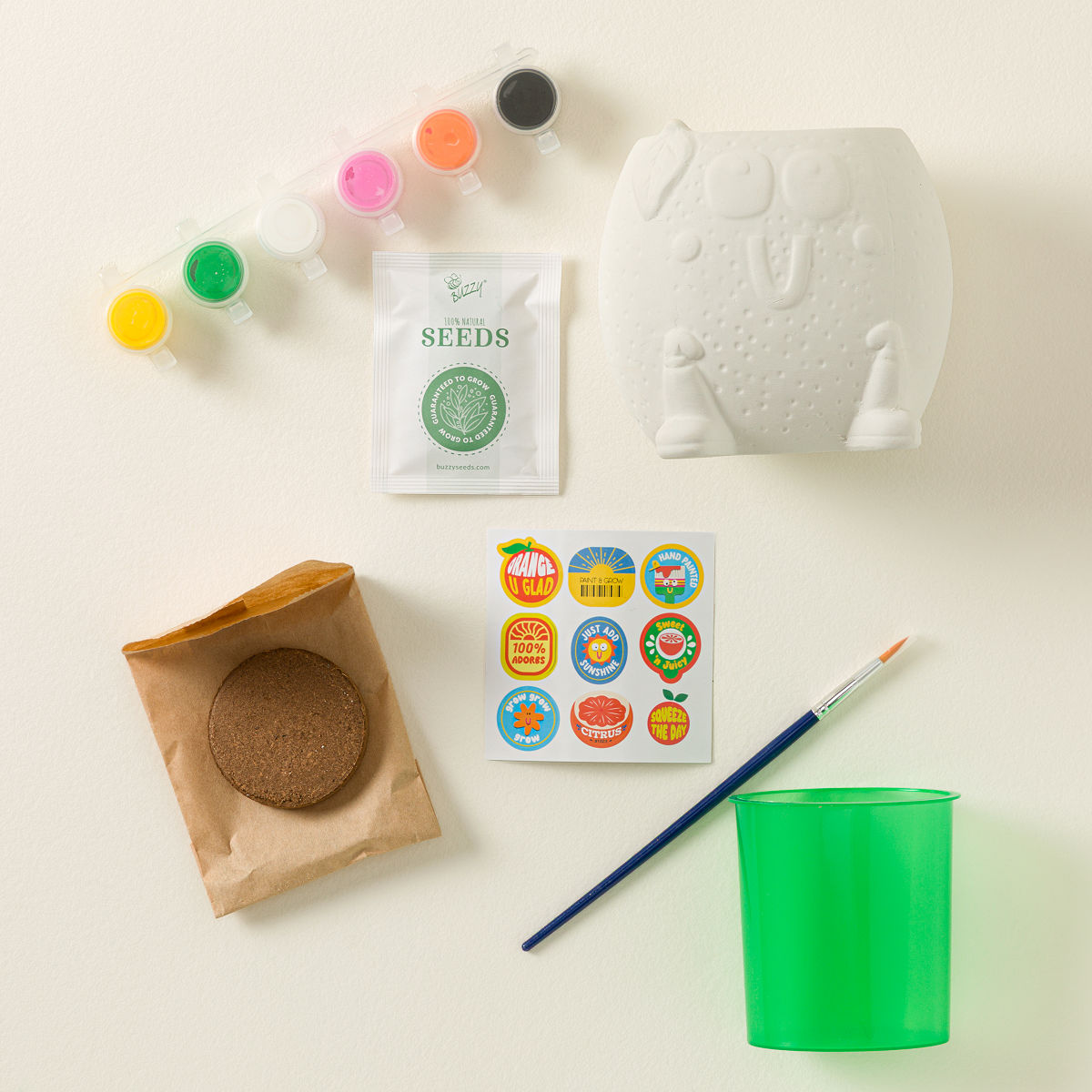 Fruit Buddies Paint & Grow Set - Orange