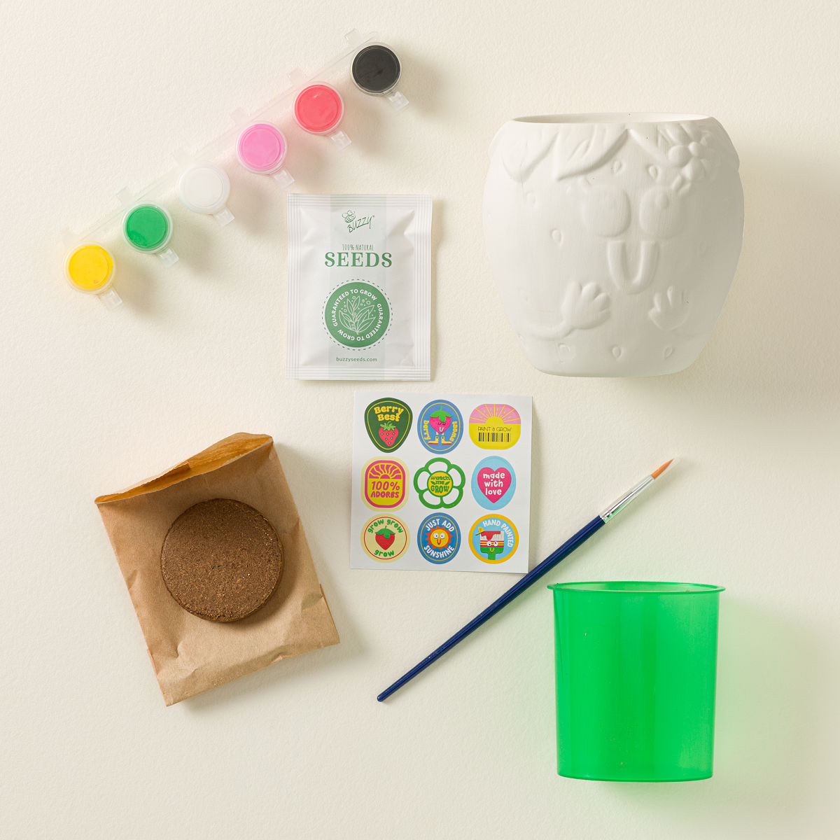 Fruit Buddies Paint & Grow Set - Strawberry