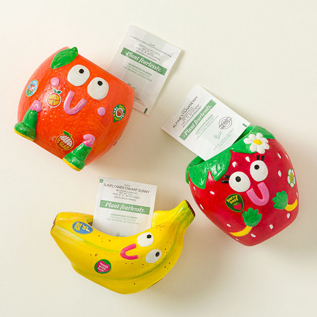 Fruit Buddies Paint & Grow Set