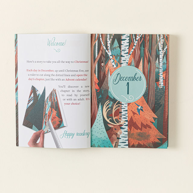 Christmas Mystery Chapter-a-Day Advent Book