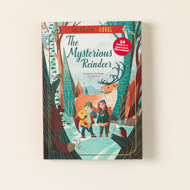Christmas Mystery Chapter-a-Day Advent Book